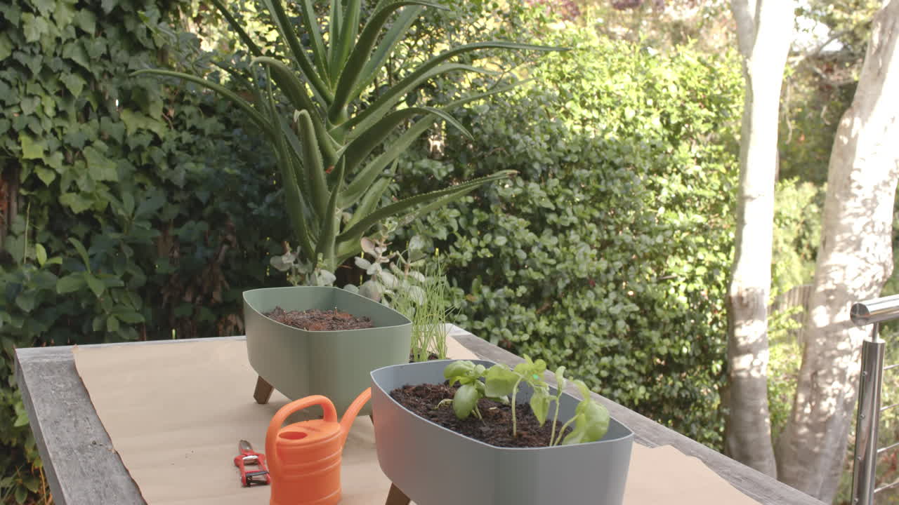 Watering plants in garden, orange watering can and potted plants on table