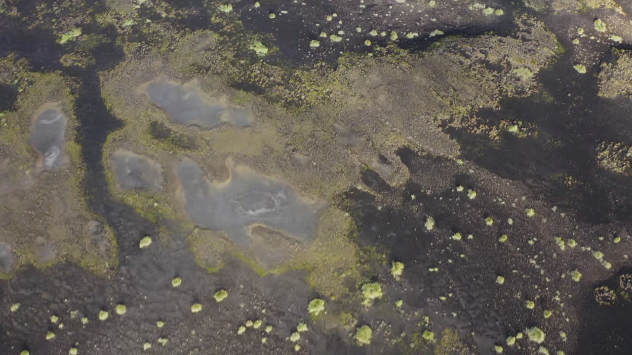 Veduta aerea dall'alto di un campo di lava vulcanica scura con chiazze di muschio sparse e una texture naturale aspra nella natura selvaggia islandese.
