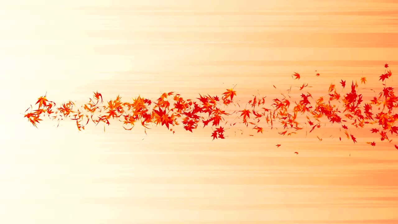 다채로운 메이플과 잎에서 나온 소용돌이, 가을 잎의 나선형 반이는 입자, 춤추는 잎, 다채로운 자연 터널 루프 애니메이션.