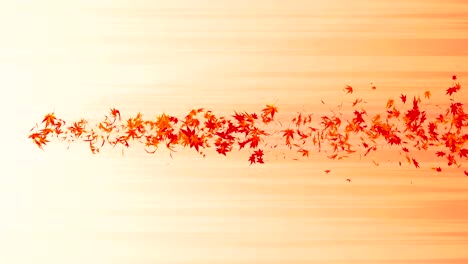 vórtice de colorido arce y hojas. espiral partícula brillante de hojas de otoño. hoja de baile. colorida naturaleza túnel bucle de animación.