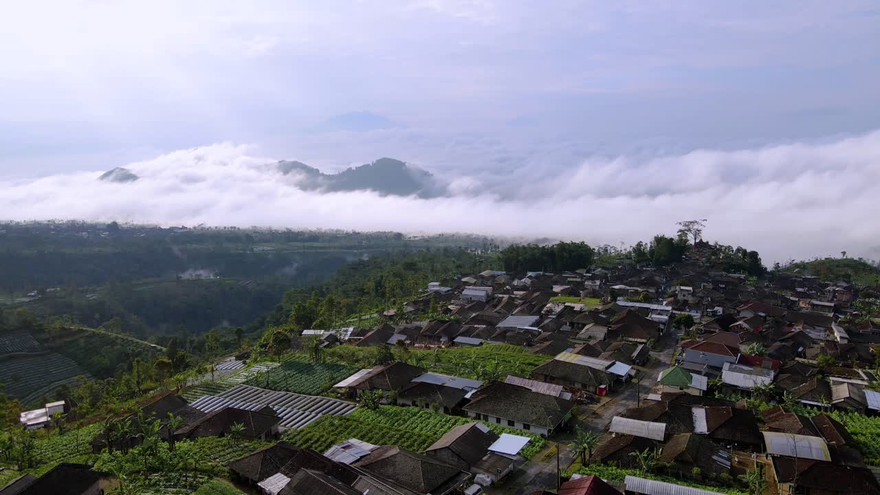 vista aérea del campo de indonesia en la colina
