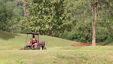 tractor mowing grass on a sunny day