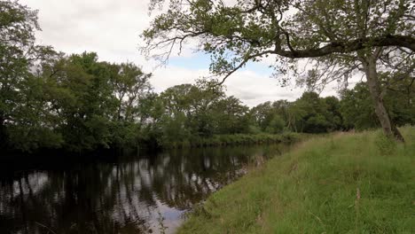 gentle river next to a grassy shore and trees