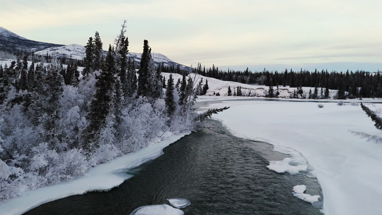 Río Takhini y árboles cubiertos de hielo en invierno en Yukón, Canadá - Toma aérea