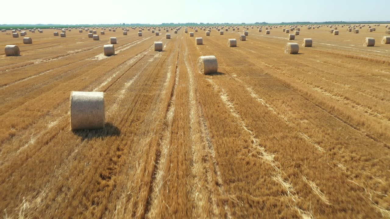 Aerial view of field with lined straw bales on farm fields