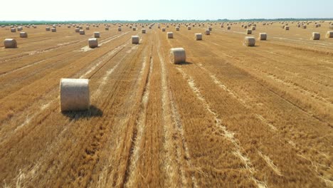 aerial view of field with lined straw bales on farm fields