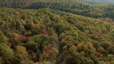 skyline drive in shenandoah national park in virginia, us with trees in autumn colors