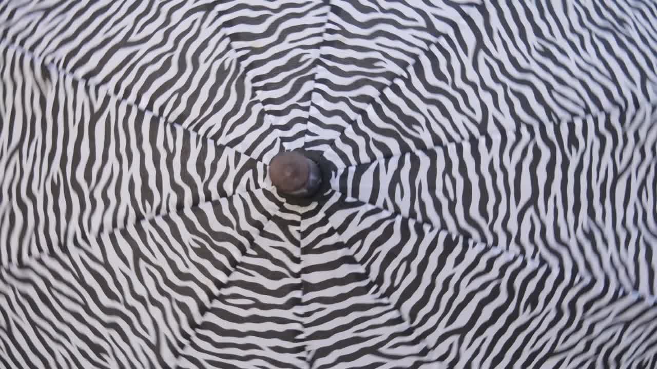 Black and white open spin and hypnotize.