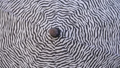 black and white open spin and hypnotize.