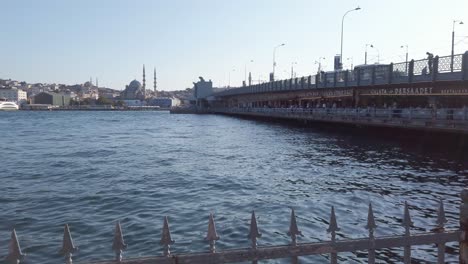 Daytime,-cinematic-slow-mo,-revealing-view-from-trees-in-Istanbul-Eminonu,-unveiling-the-panoramic-scene-of-Golden-Horn,-Galata-Bridge,-fish-restaurants-below,-mosque,-and-cityscape