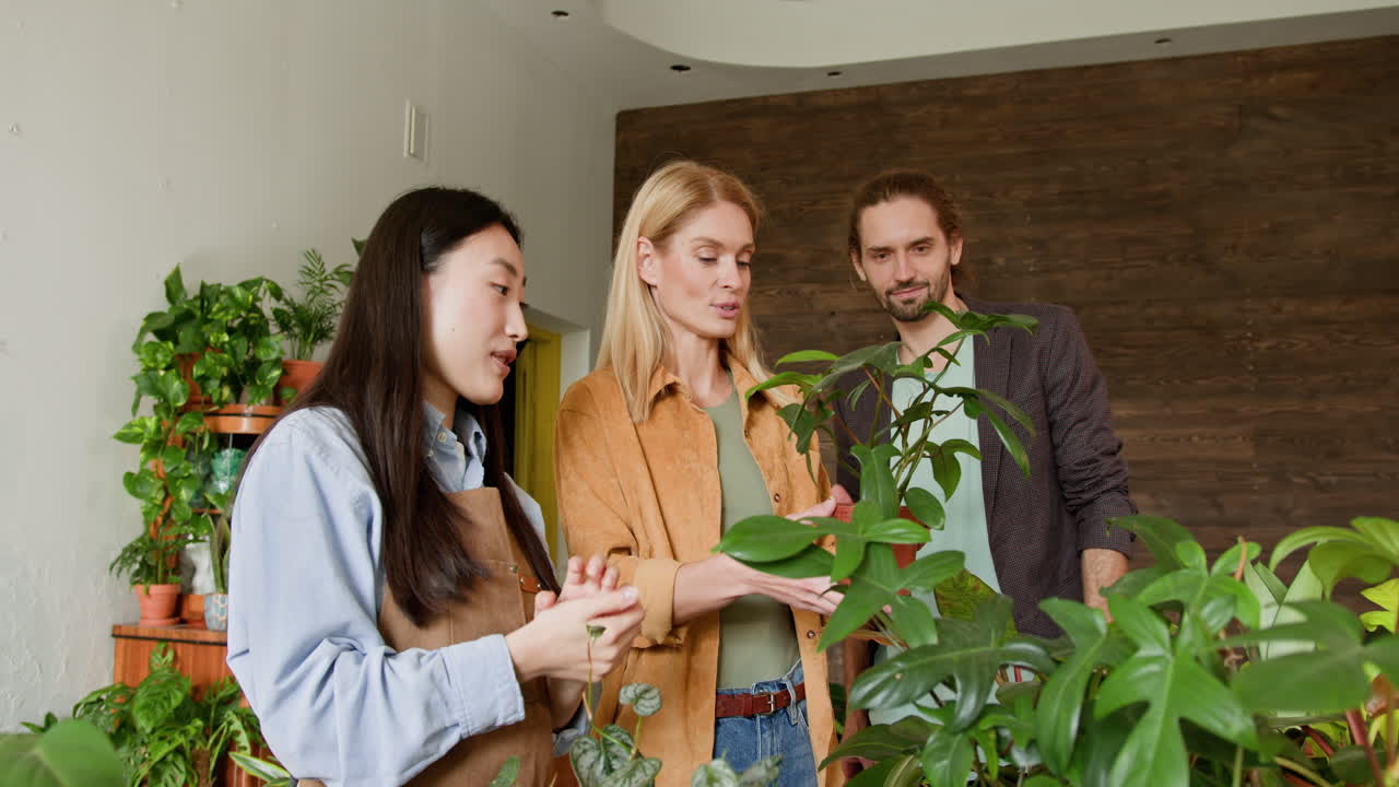 consulta de las plantas de la tienda