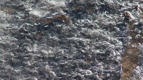 en primavera, la nieve y el hielo se derriten y se forman riachuelos bajo el glaciar helado 1