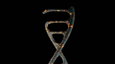 3d animation of dna growth on the black background. the surface material is black and flame color. with alpha channel. the lens moves from bottom to top.