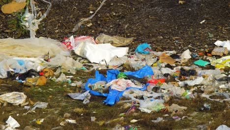 pila de diferentes tipos de basureros grandes, bolsas de plástico y vertederos llenos de basura, contaminación ambiental, plano medio