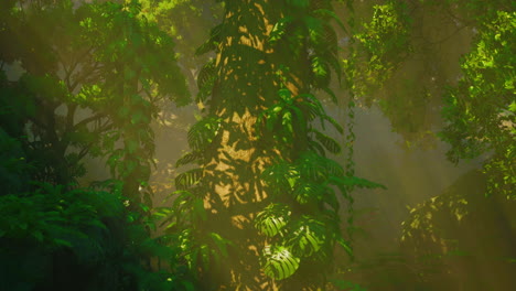 sunlit jungle scene