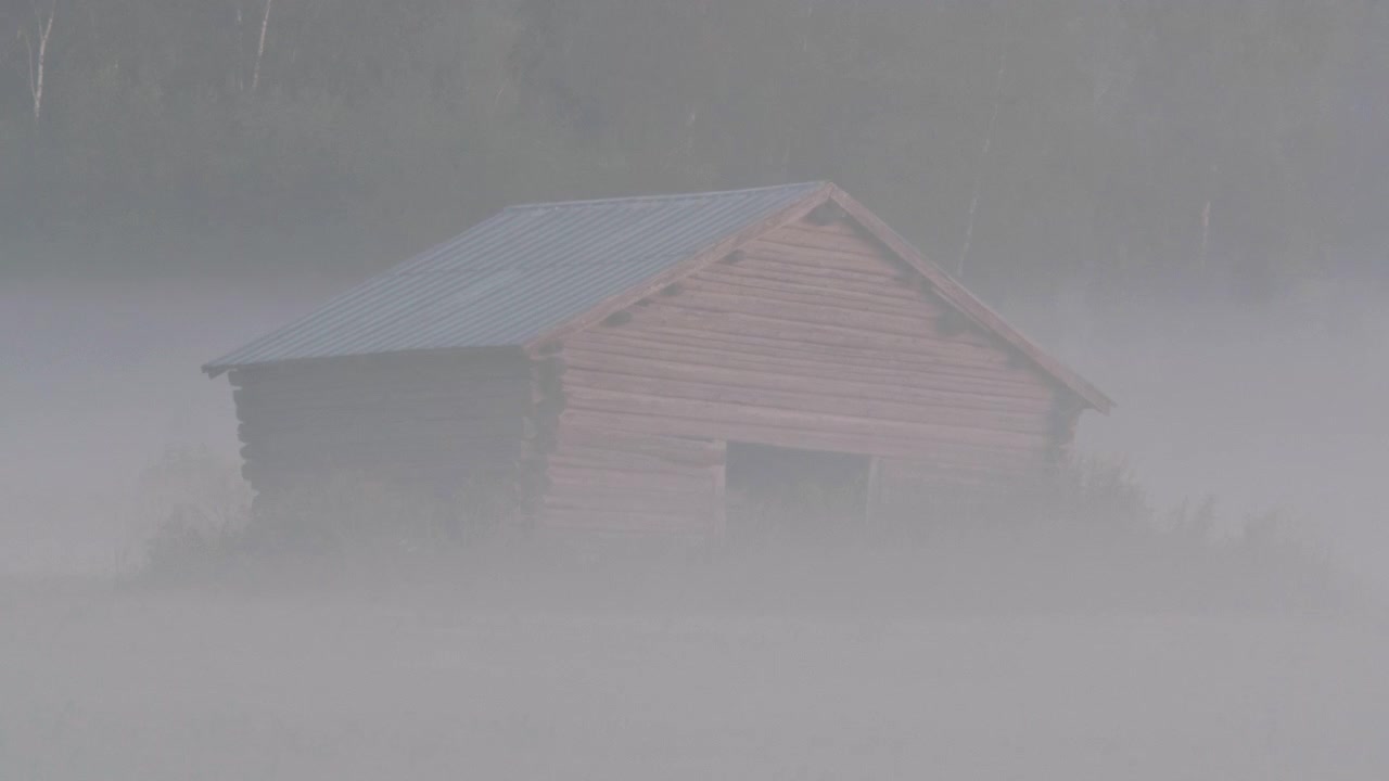 Sommermorgentåke og dis, gammel forlatt låve i øde landlig landskap i Nord-Sverige