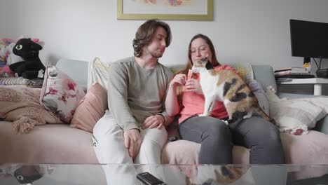 Young-female-with-snack-feeding-pet-cat-while-male-partner-watching-on