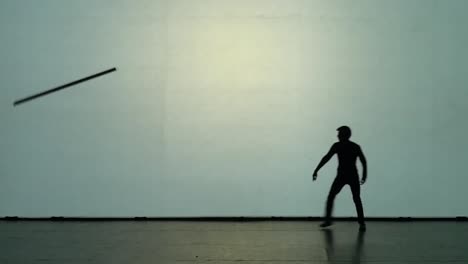 shadow dance performance