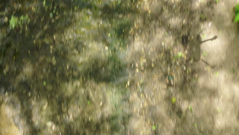 a low angle view of a shallow stream on a sunny day