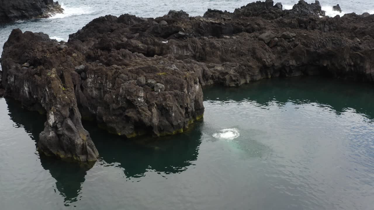 Giovane uomo che si tuffa dalla scogliera nelle piscine naturali a Seixal, Madeira