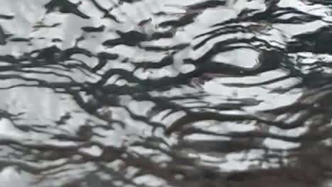 Slow-motion-abstract-view-of-rain-drops-landing-on-glass-as-seen-from-below,-underneath,-gray-sky