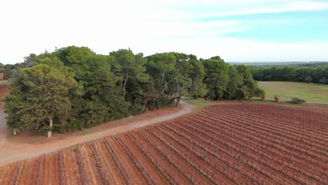 Aerial-establsihing-shot-of-the-vineyards-at-Domaine-St-Jean-de-l'Arbousier