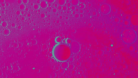 structure movement of colorful oil bubbles in liquid