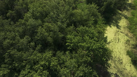 Reveal-of-Wisconsin-scenery---beautiful-river-meanders-and-riverine-woodland