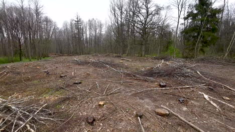 Aerial-view---Piles-of-cut-sawn-tree-branches-and-many-stumps-on-ground-at-a-deforested-logging-site