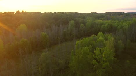 Beautiful-aerial-view-of-the-Sacred-Grove-near-the-Joseph-Smith-family-farm,-frame-house,-temple,-visitors-center,-in-Palmyra-New-York-Origin-locations-for-the-Mormons-and-the-book-of-Mormon