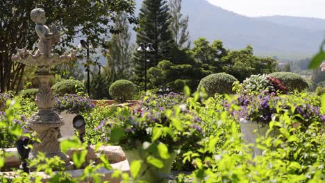 exploring a lush, vibrant garden with statues