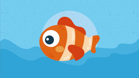 cute clown fish sealife animation