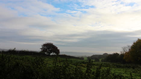 A-misty-morning-professional-time-lapse-with-foliage-,fields-and-trees