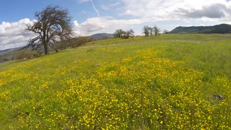 An-aerial-view-across-flowers-and-fields-on-a-mountainside-2