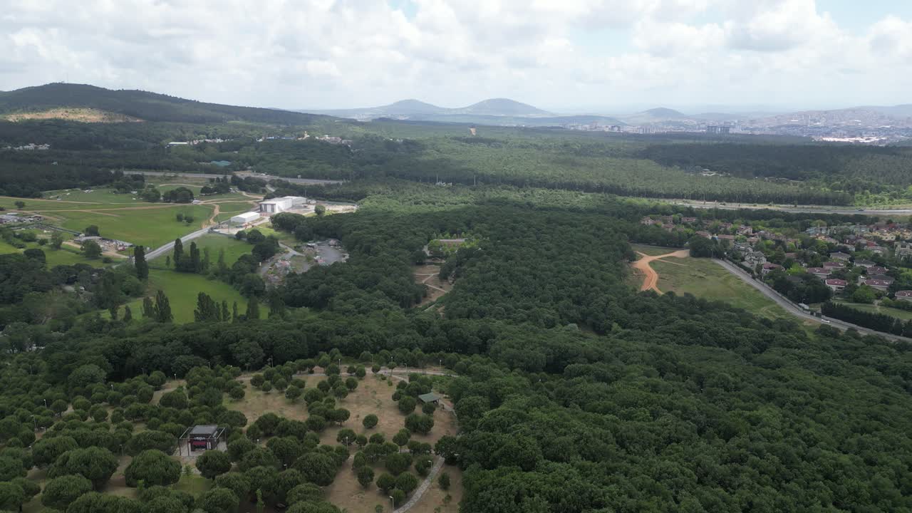 Drone image rising upwards from the forest walk area