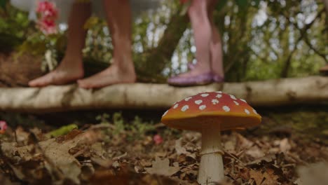 escena de fantasía de mosca hongo agaric con los pies de los niños caminando sobre un tronco de árbol caído en el fondo