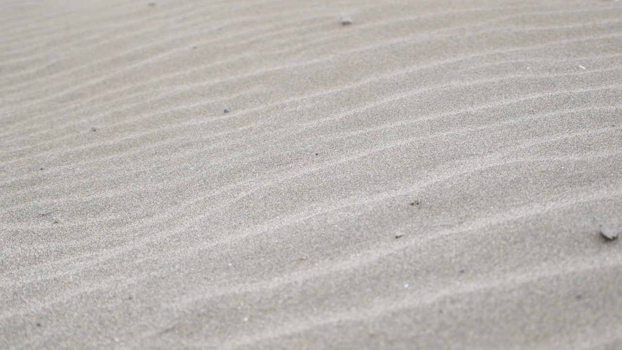 모래 언덕의 자연적인 파동 패턴