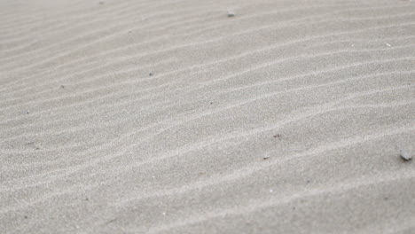 natural wave pattern on dune sand