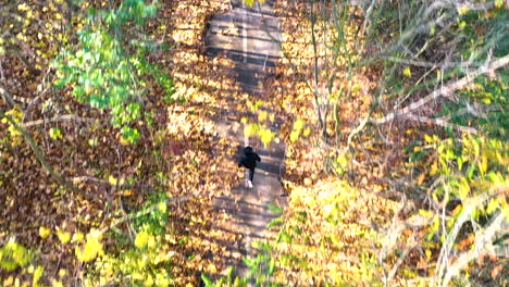 un tipo con una sudadera con capucha trotando por un sendero bajo la luz del sol de otoño,chequia,sobrecarga