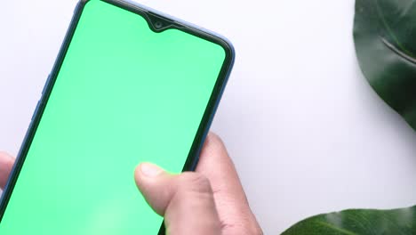 hand holding a smartphone with a green screen display