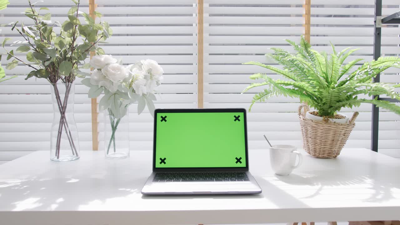 초록색 화면 크로마 키는 노트북 컴퓨터에 표시 할 수 있습니다. 집 사무실에서 책상 테이블에 집 사무실 내부 작업 공간에서 실내 식물로 장식하십시오.