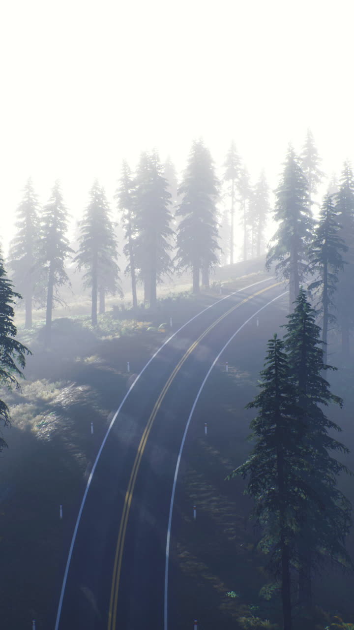 Misty morning in a dense forest with railway tracks winding through trees