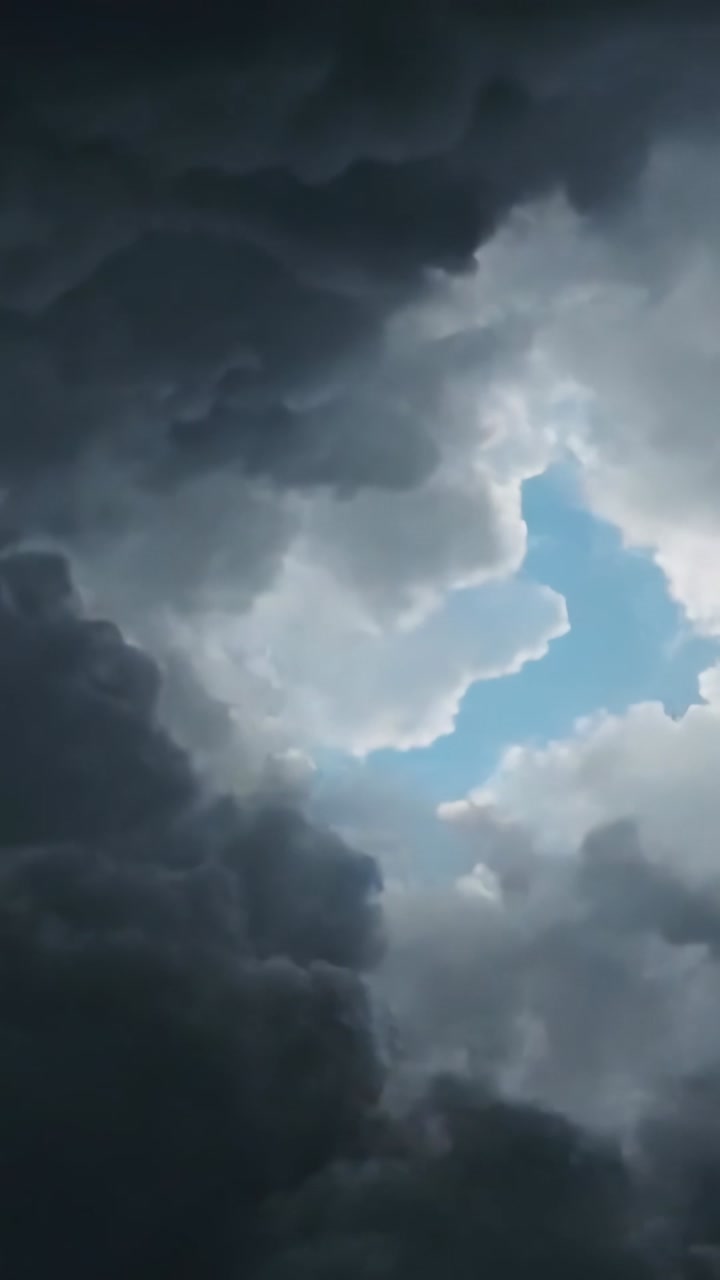 Vertical video: Flying b and w bird flapping past storm clouds parting to reveal blue sky, seeking s