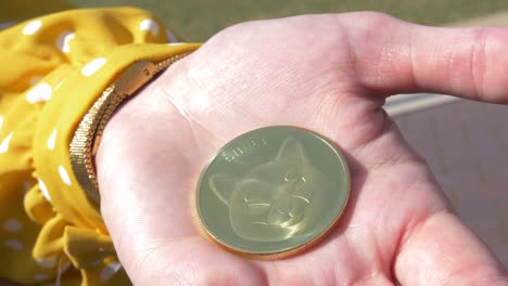 putting a shibainu token on the palm of the hand