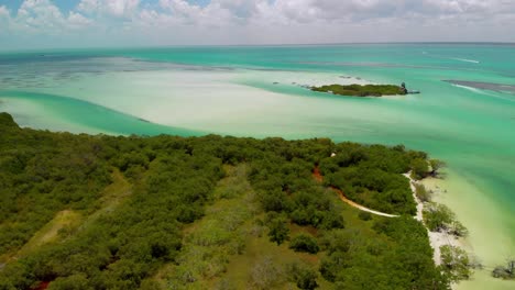 video de avión no tripulado de una aislada isla tropical mexicana con bosque exuberante y playa de arena blanca