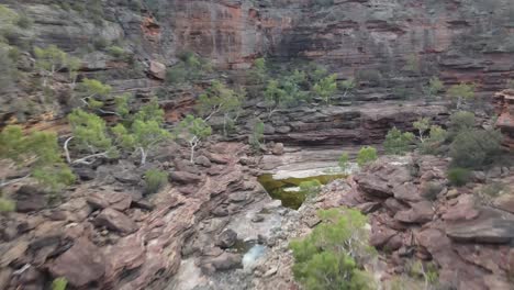 drone aerial in an australian gorge with a river system