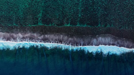 bora bora moorea mo'orea tahiti french polynesia aerial drone coral reef passe birdseye unique wave surf crashes on channel fingers deep aqua blue south pacific island upwards motion