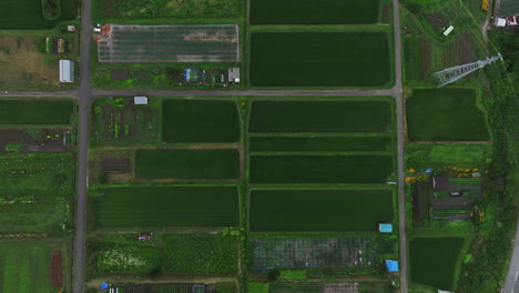 vista aérea sobre campos de arroz y plantaciones, en nagano, japón - de arriba hacia abajo, toma de avión no tripulado