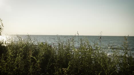 Scenic-Lookout-over-Lake-Ontario-from-Niagara-on-the-Lake---4K