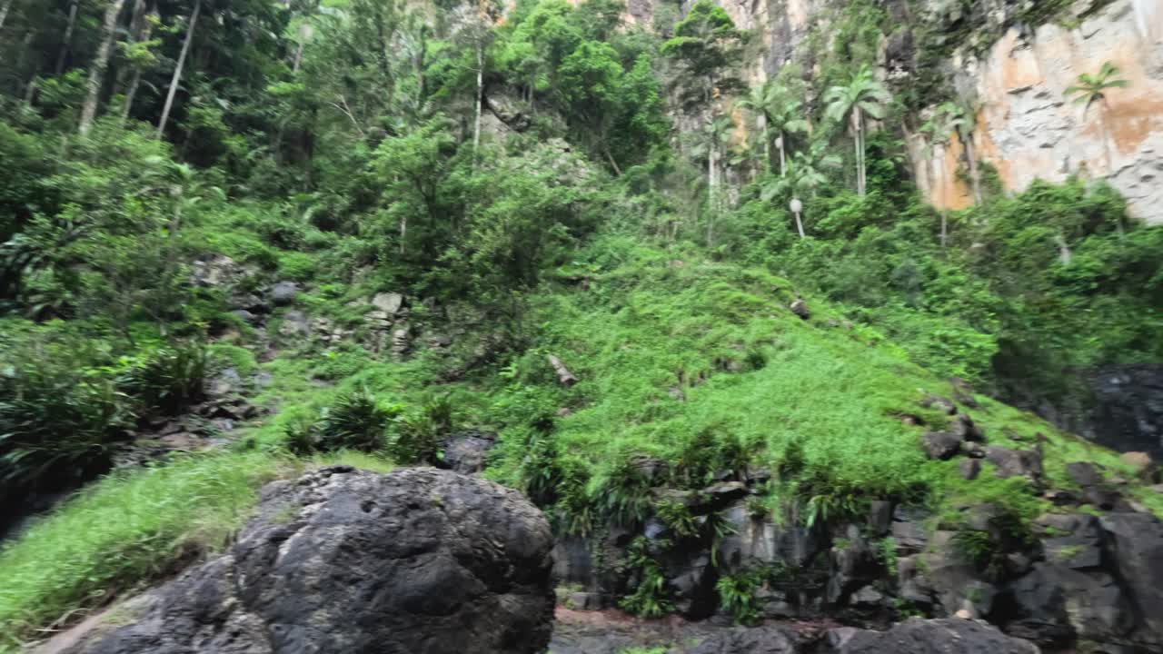cascada en cascada en un entorno de bosque verde